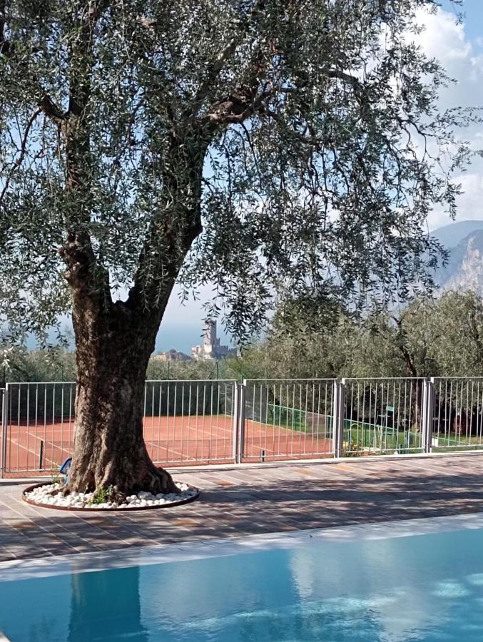 مالتشيزينيه Apartament Luna Wifi Free - المظهر الخارجي الصورة