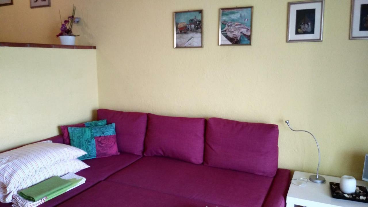مالتشيزينيه Apartament Luna Wifi Free - المظهر الخارجي الصورة